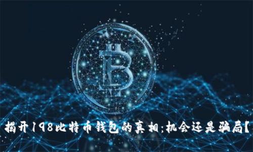 揭开198比特币钱包的真相：机会还是骗局？