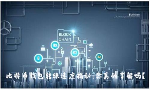 比特币钱包转账速度揭秘：你真的了解吗？