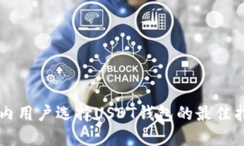 国内用户选择USDT钱包的最佳指南