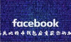 如何在丢失比特币钱包后