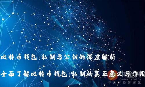 比特币钱包：私钥与公钥的深度解析

全面了解比特币钱包：私钥的真正意义与作用