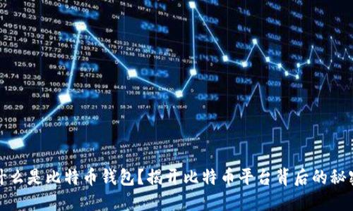 什么是比特币钱包？揭开比特币平台背后的秘密