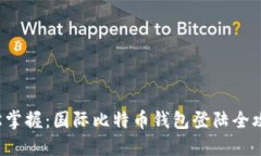 轻松掌握：国际比特币钱包登陆全攻略！