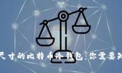 选择合适尺寸的比特币冷钱包：你需要知道的事