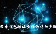 揭秘比特币钱包地址查询的详细步骤与技巧