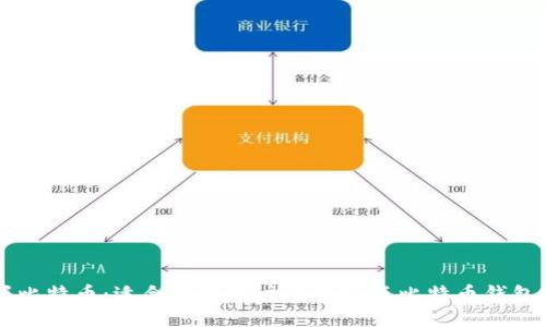 掌握比特币：适合苹果用户的中文版比特币钱包推荐
