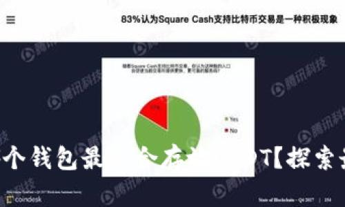 想知道哪个钱包最适合存放USDT？探索最佳选择！