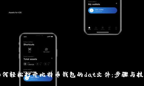 如何轻松打开比特币钱包的dat文件：步骤与技巧