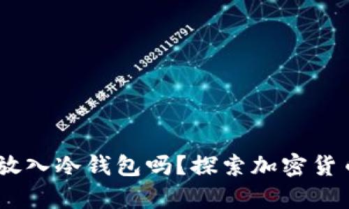 USDT可以安全地放入冷钱包吗？探索加密货币存储的最佳实践