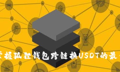 快速掌握狐狸钱包跨链换USDT的最佳技巧