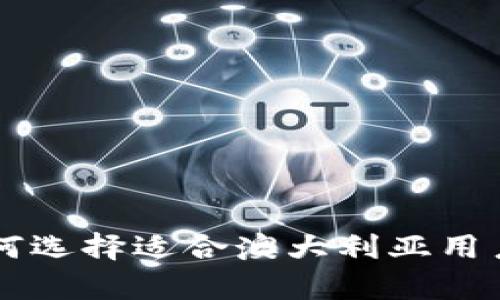 深度解析：如何选择适合澳大利亚用户的USDT钱包