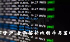 轻松管理数字资产：全面