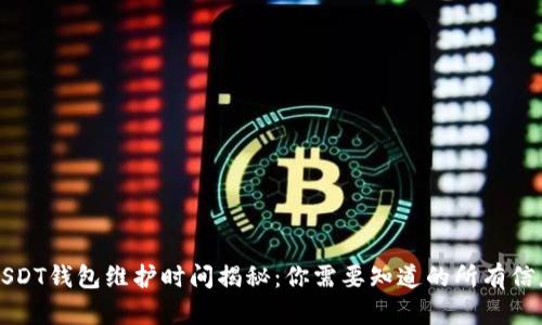 USDT钱包维护时间揭秘：你需要知道的所有信息