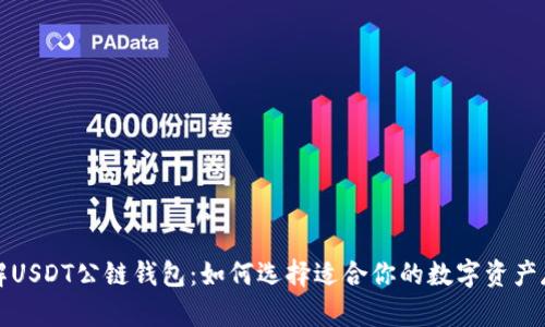 深入了解USDT公链钱包：如何选择适合你的数字资产存储工具