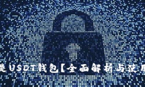 什么是USDT钱包？全面解析与使用指南