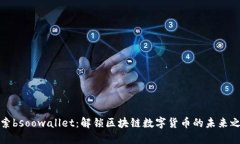 探索bsoowallet：解锁区块链
