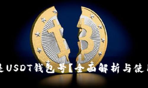 什么是USDT钱包号？全面解析与使用指南