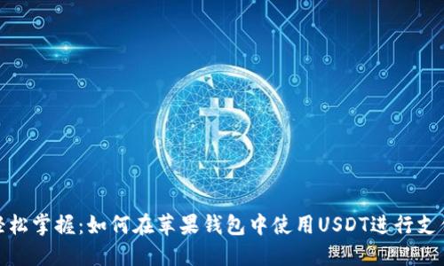 轻松掌握：如何在苹果钱包中使用USDT进行支付