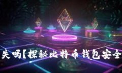 比特币钱包地址会丢失吗