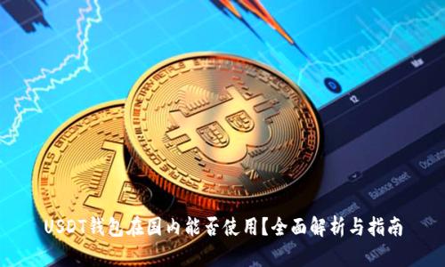 USDT钱包在国内能否使用？全面解析与指南