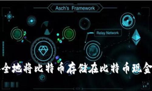 如何安全地将比特币存储在比特币现金钱包中