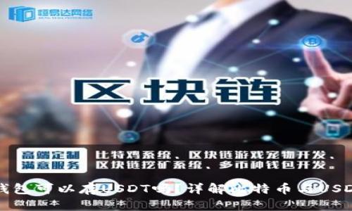 比特币官方钱包可以存USDT吗？详解比特币与USDT的存储问题