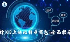 如何选择iOS上的比特币钱包：全面指南及推荐