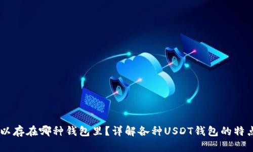 USDT可以存在哪种钱包里？详解各种USDT钱包的特点与选择