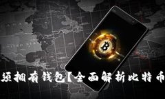 比特币是否必须拥有钱包？全面解析比特币钱包