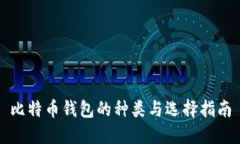 比特币钱包的种类与选择指南
