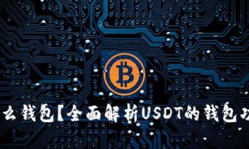 USDT钱包是什么钱包？全面解析USDT的钱包功能与使用方法