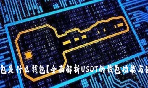 USDT钱包是什么钱包？全面解析USDT的钱包功能与使用方法