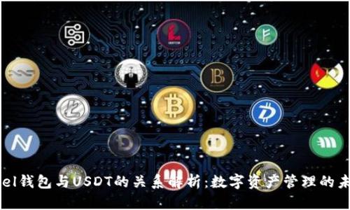 Abel钱包与USDT的关系解析：数字资产管理的未来
