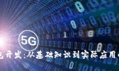 区块链钱包开发：从基础知识到实际应用的全面