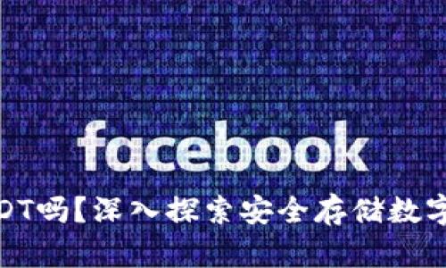 硬件钱包能存USDT吗？深入探索安全存储数字资产的最佳选择