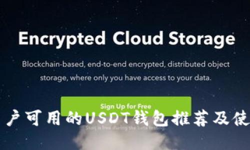 大陆用户可用的USDT钱包推荐及使用指南