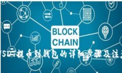 币安USDT提币到钱包的详细步骤及注意事项