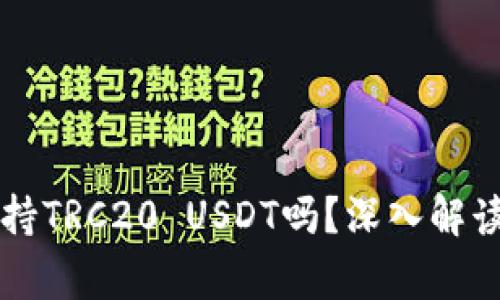 : IM钱包支持TRC20 USDT吗？深入解读与常见问题