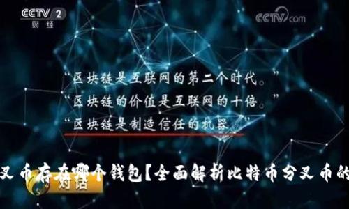 比特币分叉币存在哪个钱包？全面解析比特币分叉币的存储选择