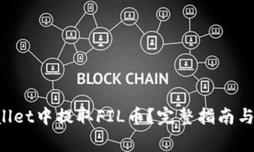 如何在TP Wallet中提取FIL币？完整指南与常见问题解答