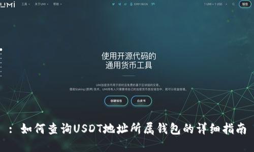 : 如何查询USDT地址所属钱包的详细指南