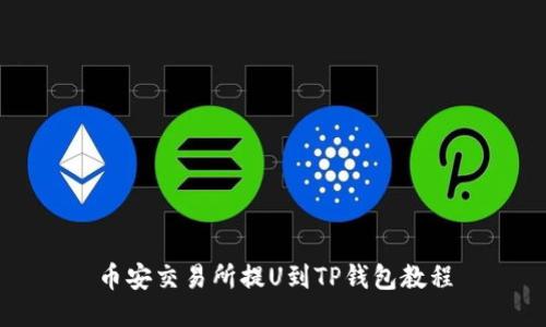 币安交易所提U到TP钱包教程