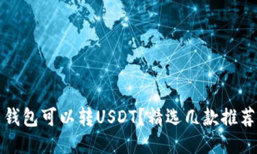 什么钱包可以转USDT？精选几款推荐钱包