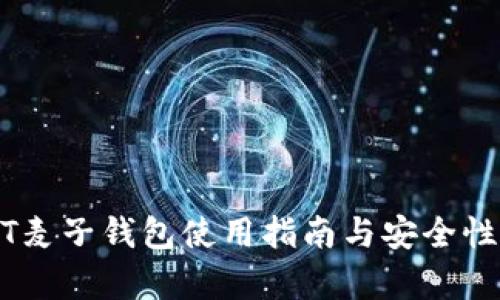 USDT麦子钱包使用指南与安全性分析