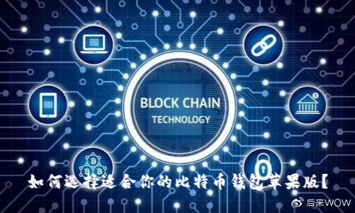 如何选择适合你的比特币钱包苹果版？