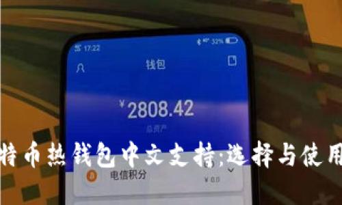 : 比特币热钱包中文支持：选择与使用指南