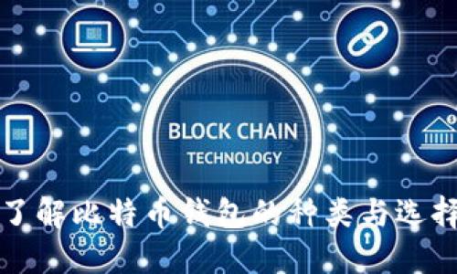 深入了解比特币钱包的种类与选择策略