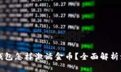 区块链钱包怎样激活金币？全面解析激活过程