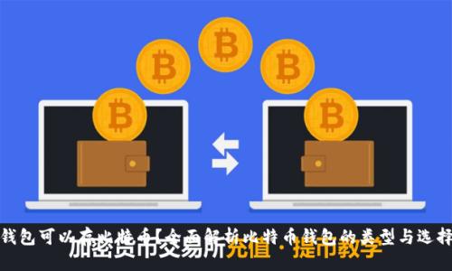 什么钱包可以存比特币？全面解析比特币钱包的类型与选择建议