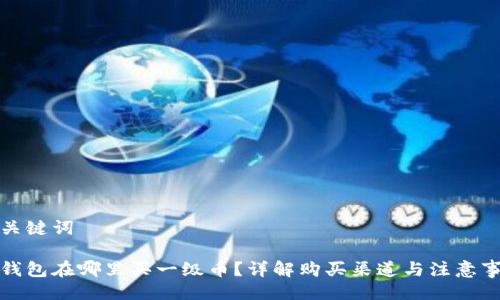 与关键词

tp钱包在哪里买一级币？详解购买渠道与注意事项